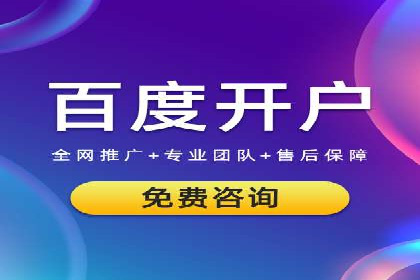 深入解析SEM账户竞价运营成功案例